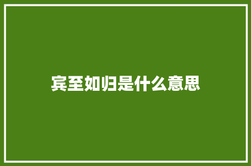 宾至如归是什么意思