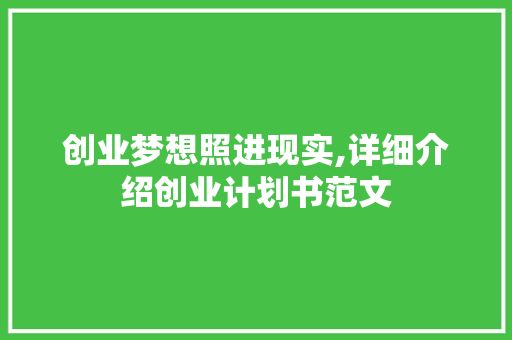 创业梦想照进现实,详细介绍创业计划书范文