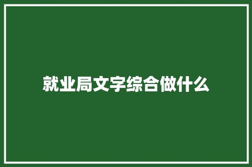 就业局文字综合做什么