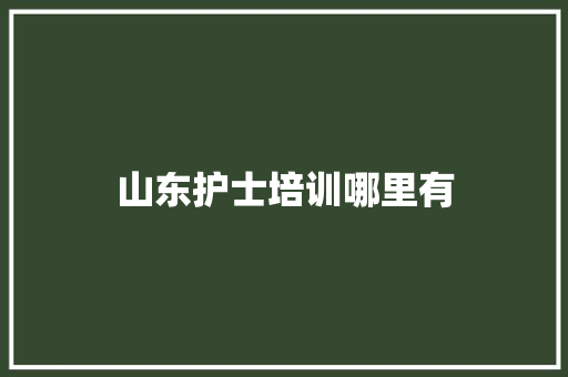 山东护士培训哪里有