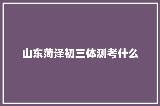 山东菏泽初三体测考什么