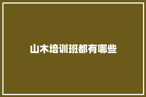 山木培训班都有哪些
