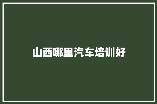 山西哪里汽车培训好
