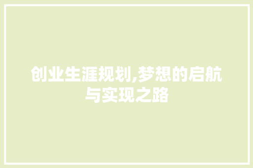 创业生涯规划,梦想的启航与实现之路