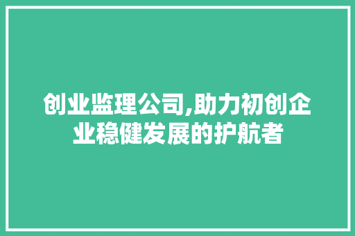 创业监理公司,助力初创企业稳健发展的护航者