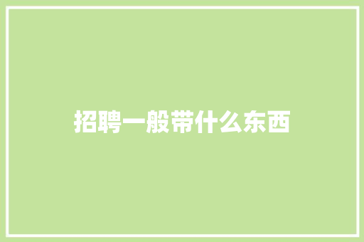 招聘一般带什么东西