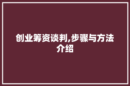 创业筹资谈判,步骤与方法介绍
