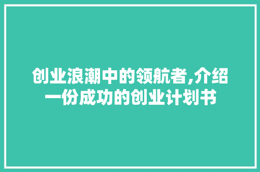 创业浪潮中的领航者,介绍一份成功的创业计划书