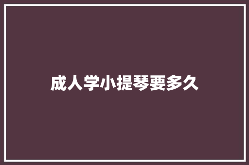 成人学小提琴要多久