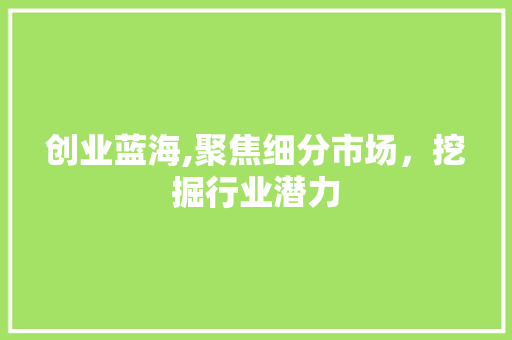 创业蓝海,聚焦细分市场，挖掘行业潜力