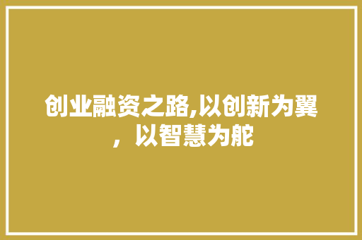 创业融资之路,以创新为翼，以智慧为舵