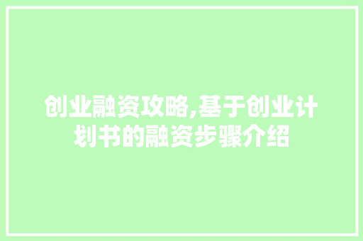 创业融资攻略,基于创业计划书的融资步骤介绍