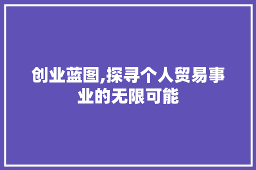 创业蓝图,探寻个人贸易事业的无限可能