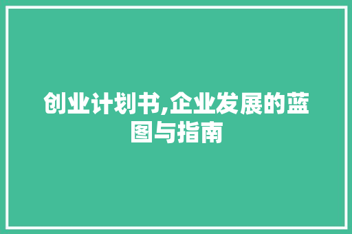 创业计划书,企业发展的蓝图与指南