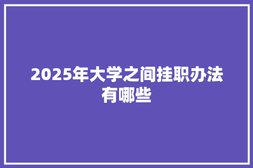 2025年大学之间挂职办法有哪些