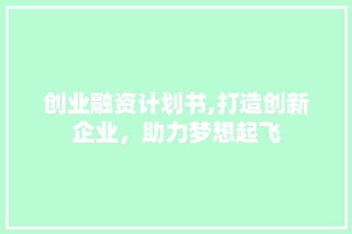 创业融资计划书,打造创新企业，助力梦想起飞