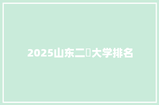 2025山东二夲大学排名