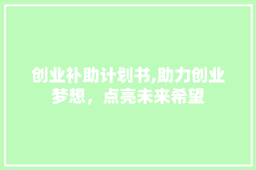 创业补助计划书,助力创业梦想，点亮未来希望