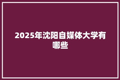2025年沈阳自媒体大学有哪些
