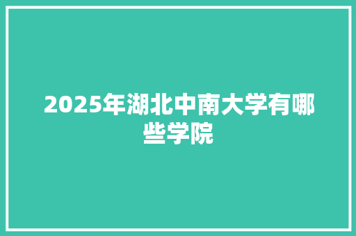 2025年湖北中南大学有哪些学院