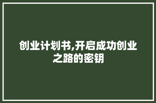 创业计划书,开启成功创业之路的密钥