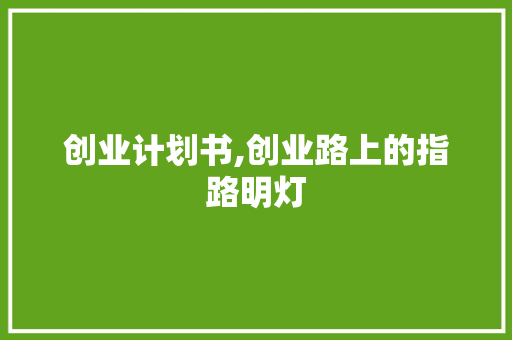 创业计划书,创业路上的指路明灯