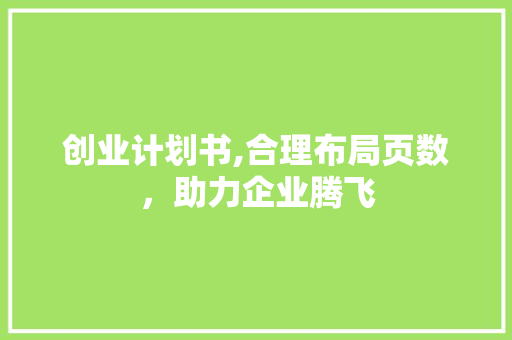 创业计划书,合理布局页数，助力企业腾飞