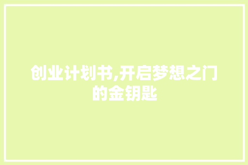 创业计划书,开启梦想之门的金钥匙