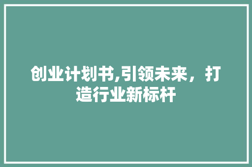 创业计划书,引领未来，打造行业新标杆