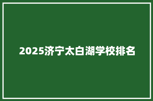 2025济宁太白湖学校排名