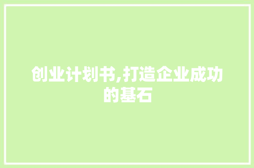 创业计划书,打造企业成功的基石