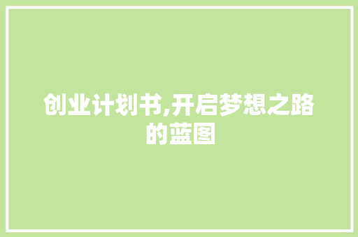 创业计划书,开启梦想之路的蓝图