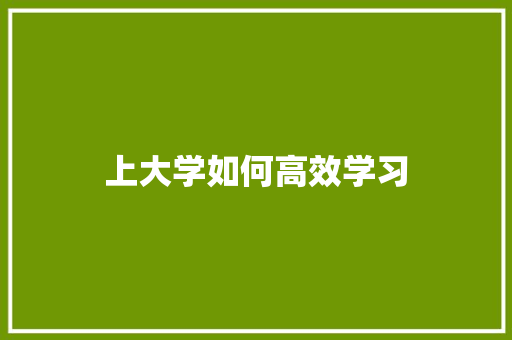 上大学如何高效学习
