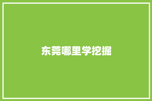 东莞哪里学挖掘