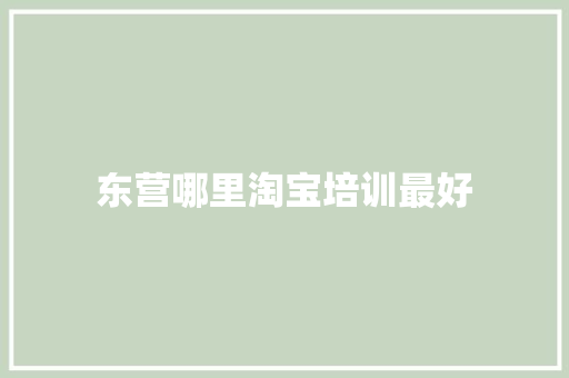 东营哪里淘宝培训最好
