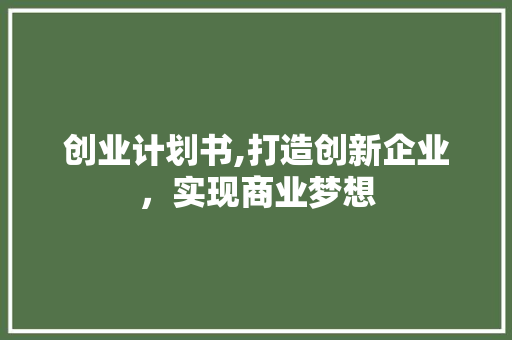 创业计划书,打造创新企业，实现商业梦想