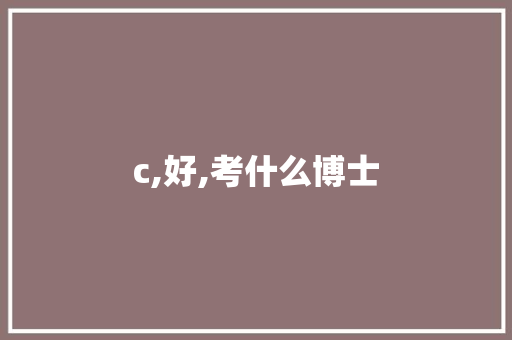 c,好,考什么博士