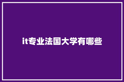 it专业法国大学有哪些