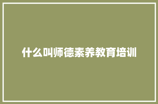 什么叫师德素养教育培训