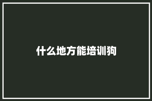 什么地方能培训狗