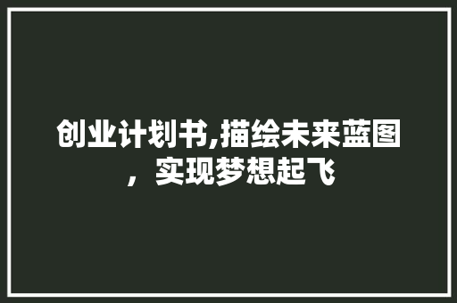 创业计划书,描绘未来蓝图，实现梦想起飞