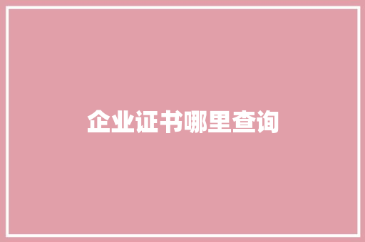 企业证书哪里查询