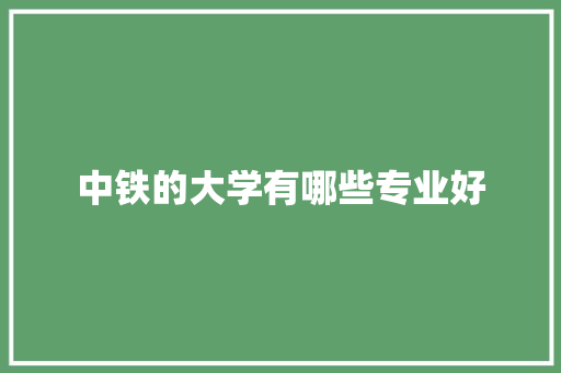 中铁的大学有哪些专业好