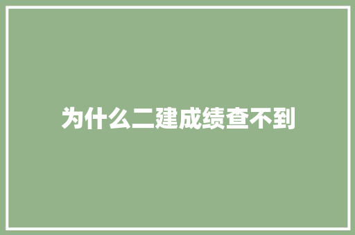 为什么二建成绩查不到