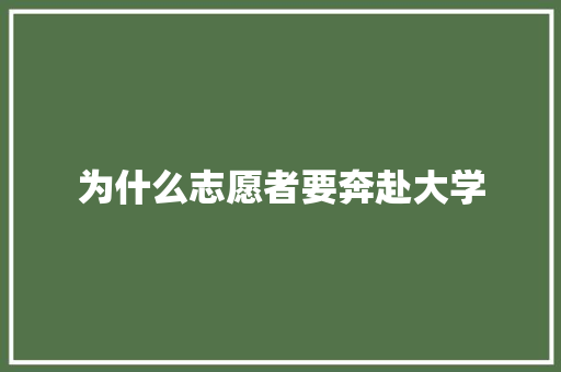 为什么志愿者要奔赴大学
