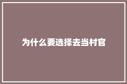 为什么要选择去当村官