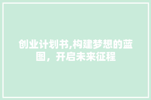 创业计划书,构建梦想的蓝图，开启未来征程