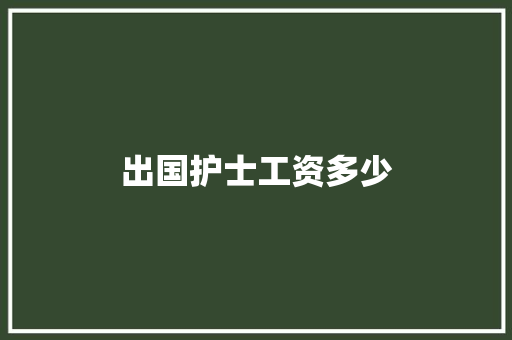 出国护士工资多少