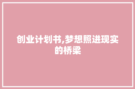 创业计划书,梦想照进现实的桥梁