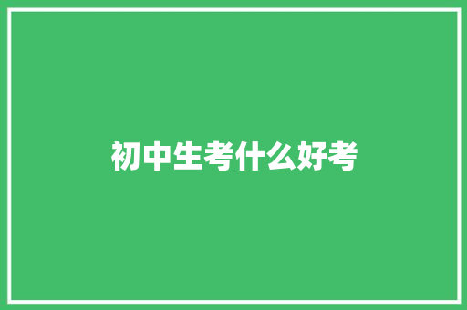 初中生考什么好考